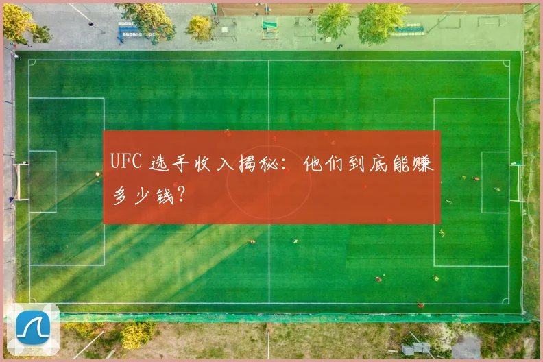 UFC 选手收入揭秘:他们到底能赚多少钱?