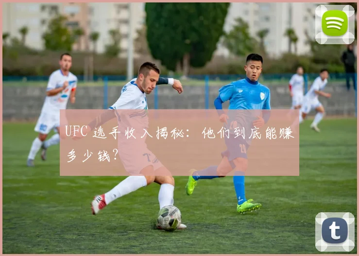 UFC 选手收入揭秘：他们到底能赚多少钱？